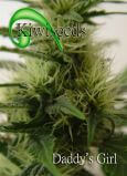 Daddy’s Girl