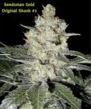 Original Skunk #1